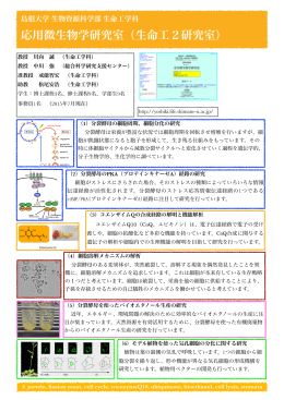 研究室紹介PDF - 島根大学応用微生物学研究室