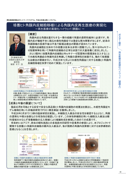 培養ヒト角膜内皮細胞移植による角膜内皮再生医療の実現化（PDF