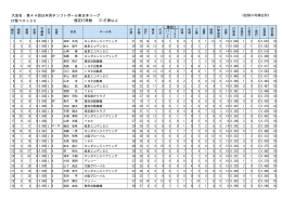 打撃ベスト 30 - 日本ソフトボール協会