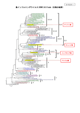 鳥インフルエンザウイルス(H5N1)の Clade（生物分岐群）