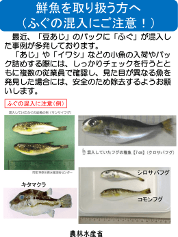 鮮魚を取り扱う方へ（ふぐの混入にご注意！）（PDF：230KB）
