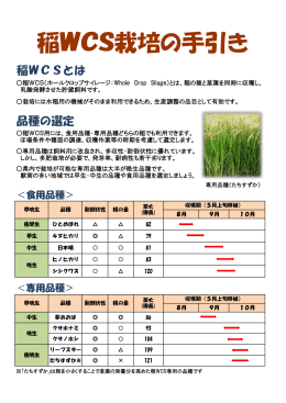 稲WCS栽培の手引き - 東近江地域農業センター
