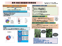 薬草（柴胡）契約栽培で所得倍増