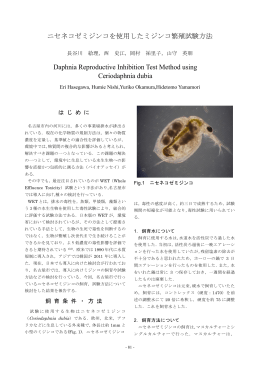 ニセネコゼミジンコを使用したミジンコ繁殖試験方法 (PDF
