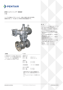 KTM Pneumatic Actuators, Model AGN