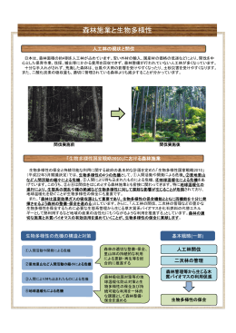 森林施業と生物多様性