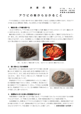 No.02（04月14日発行）アワビの殻から分かること（PDF：672KB）