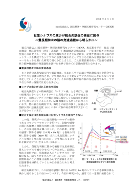 記憶シナプスの減少が統合失調症の発症に関与 ～霊長類特有の脳の