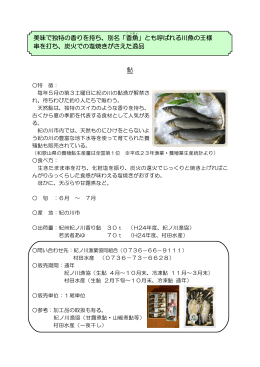 鮎 美味で独特の香りを持ち、別名「香魚」とも呼ばれる川魚の