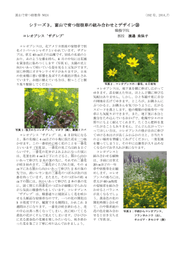 シリーズ3，富山で育つ宿根草の組み合わせとデザイン⑱