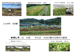 すずしろ は 大根 それは 大地の豊かな恵みの象徴