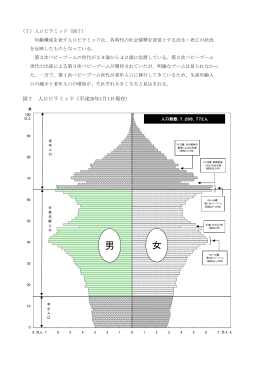 （7）人口ピラミッド（PDF：165KB）