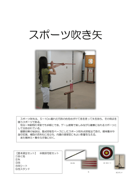 スポーツ吹き矢(PDF:156KB)
