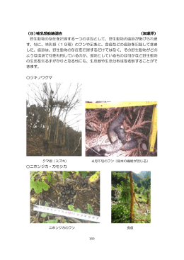 （8）哺乳類痕跡調査 （加瀬澤） 野生動物の存在を把握する一つの手段