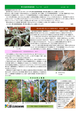 2014/12/29更新『夢の島熱帯植物館 ニュース vol.23』