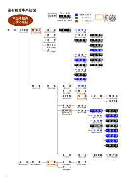 県有種雄牛系統図