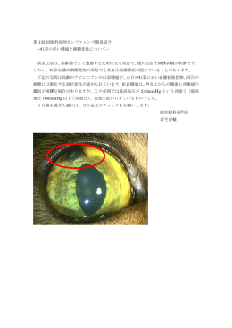 第 132 回眼科症例カンファレンス簡易紹介 ―虹彩の赤い腫瘤と網膜