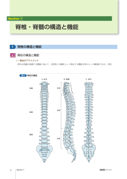 Section 1 脊椎・脊髄の構造と機能