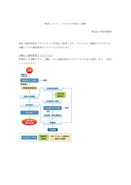 特許について、プロセスと料金のご説明 東京金子特許事務所 特許の