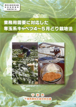 業務用需要に対応した寒玉系キャベツ4～5月どり栽培法（PDF：1429KB）