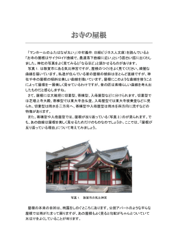 お寺の屋根 - 敦賀市のチョウ