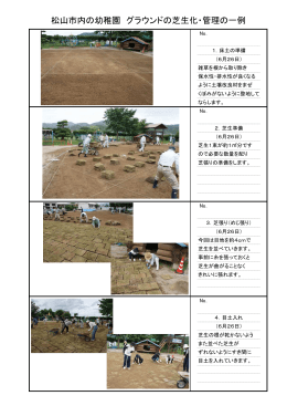 松山市内の幼稚園 グラウンドの芝生化・管理の一例
