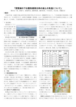 「琵琶湖の下位蜃気楼発生時の湖上の気温について」
