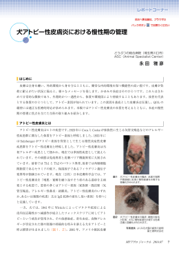 犬アトピー性皮膚炎における慢性期の管理