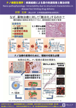 ナノ病態生理学：病巣組織による薬の到達阻害と難治状態 Nano