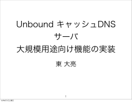 Unbound キャッシュDNS サーバ 大規模用途向け機能の実装