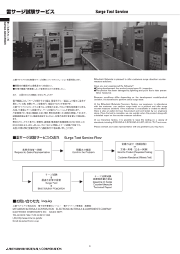 雷サージ試験サービス