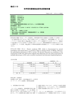 様式 C-19 科学研究費補助金研究成果報告書