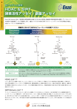 HDAC & SIRT 酵素活性アッセイ / 創薬アッセイ