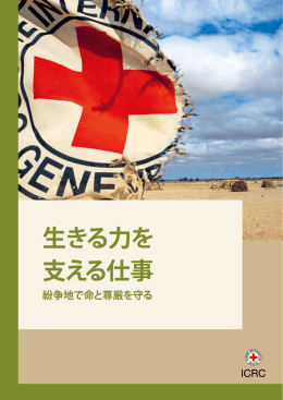 日本語版PDFダウンロード