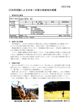 共同活動による日本一の富士柿産地の発展（PDF：503KB）