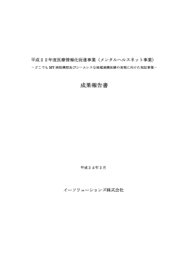 成果報告書 - NTTデータ経営研究所
