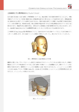 人体頭部と手と携帯端末のシミュレーション