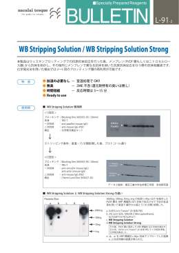WB Stripping Solution / WB Stripping Solution Strong