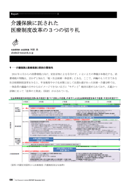 PDF全文表示 - ニッセイ基礎研究所