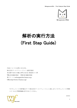 解析の実行方法 (First Step Guide)