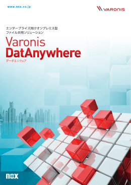 Varonis Systems DatAnywhere カタログ