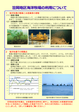 笠岡地区海洋牧場利用ルールのパンフレット [PDFファイル／860KB]