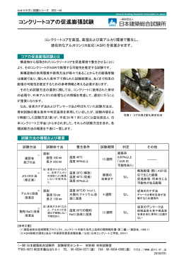 コンクリートコアの促進膨張試験（材E－06）