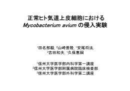 Mycobacterium avium Mycobacterium avium の侵入実験
