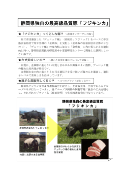 静岡県独自の最高級品質豚「フジキンカ」