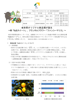 岐阜県オリジナル新品種が誕生 ～柿「ねおスイート」、フランネルフラワー