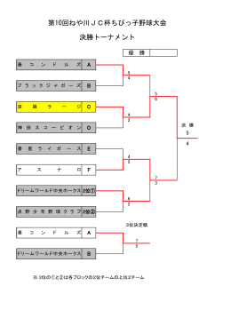第10回ねや川JC杯ちびっ子野球大会 決勝トーナメント