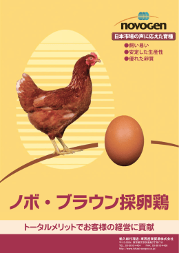 ノボ・ブラウン採卵鶏