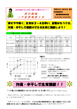酒田・飽海つや姫情報第5号（PDF形式 998KB）