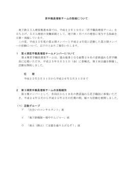 若手チーム活動報告(PDF形式, 512.08KB)